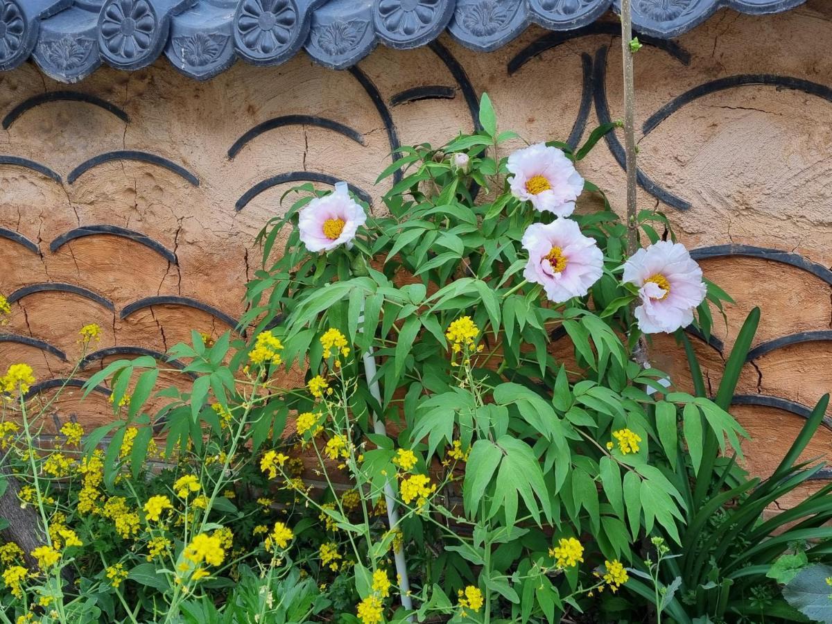 Dasomchae Hanok Stay Gwangju Metropolitan City Exteriér fotografie